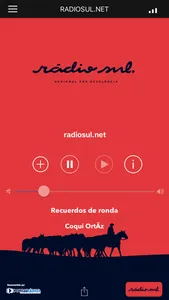 RADIOSUL.NET screenshot 0