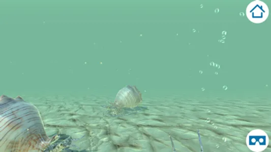 Das tropische Urmeer VR screenshot 2