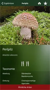 PilzSnap - Pilze sammeln! screenshot 5