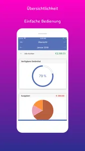 SayMoney Pro - Your finances screenshot 0