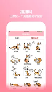 猫猫叫-一款可以真正人猫交流的模拟器 screenshot 1