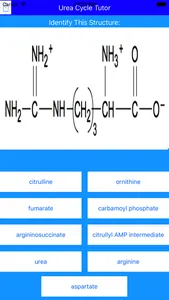 Urea Cycle Tutor screenshot 0