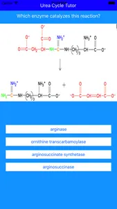 Urea Cycle Tutor screenshot 2