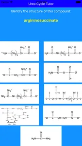 Urea Cycle Tutor screenshot 4