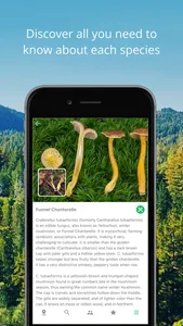 Mushroom Identificator screenshot 1