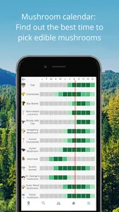 Mushroom Identificator screenshot 5