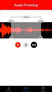 Voice Recorder & Audio Memo + screenshot 2