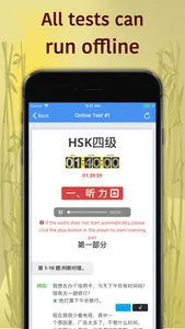 HSK-4 online test / HSK exam screenshot 1