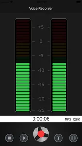 Voice Recorder - REC App screenshot 0