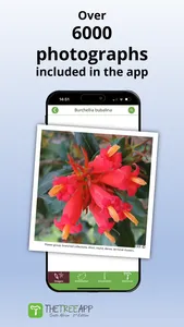 TheTreeApp SA: Tree Identifier screenshot 6