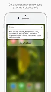 Park Slope Food Coop screenshot 1