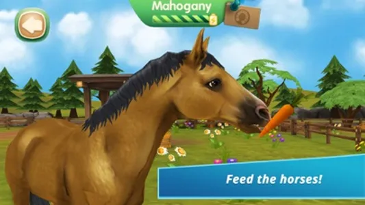 Horse Hotel - care for horses screenshot 4