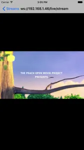 Larix Player screenshot 1