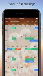 One Calendar screenshot 1