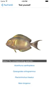 PacFishID screenshot 3