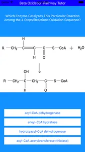 Beta Oxidation Pathway Tutor screenshot 1