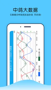 中鸽网 screenshot 2