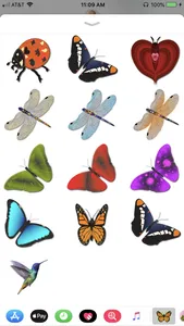 Butterflies & Dragonflies screenshot 1