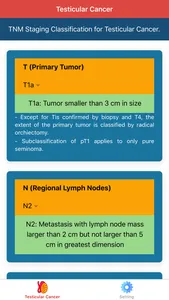 Testicular Cancer Staging screenshot 0