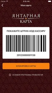 Янтарная Карта screenshot 1