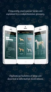 Dog Breeds of the World screenshot 4