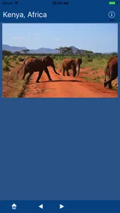 Kenya, Africa screenshot 3