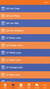 Lions FC screenshot 1