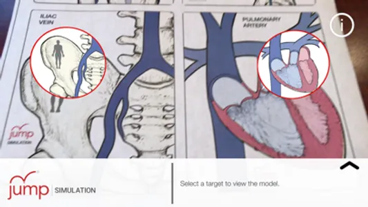 AR Anatomy by Jump Simulation screenshot 2