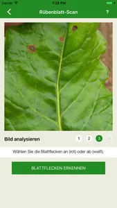 ISIP Blatt-Scan screenshot 1