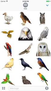 Flock of Birds Stickers screenshot 0