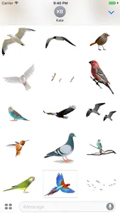 Flock of Birds Stickers screenshot 2