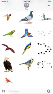 Flock of Birds Stickers screenshot 3