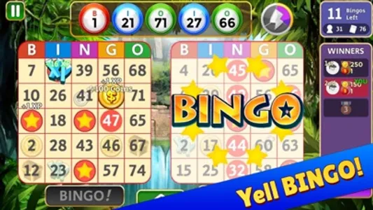 Bingo Star screenshot 1