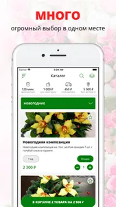 Фрейя доставка цветов | Russia screenshot 0