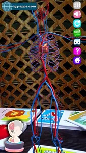 AR Kid's Kit 4D screenshot 8