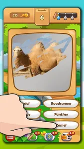 Scratch Animal Quiz. Trivia For kids screenshot 1