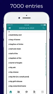 English Idioms and Slangs Dictionary screenshot 0