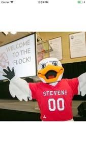 Stevens Ducks screenshot 0