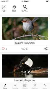 Bird ID Pro-Picture&Audio screenshot 0