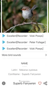 Bird ID Pro-Picture&Audio screenshot 1