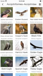 Bird ID Pro-Picture&Audio screenshot 4