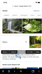 MOJi Web Browser for Languages screenshot 3