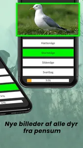 JagtQuiz - Danmarks jæger app screenshot 1