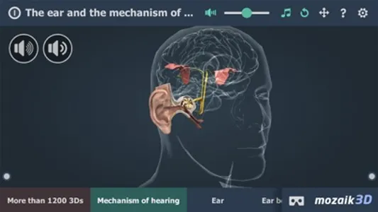 The mechanism of hearing 3D screenshot 0