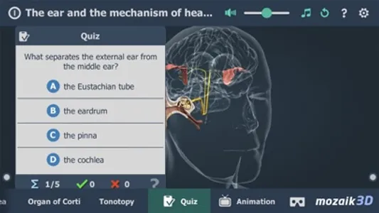 The mechanism of hearing 3D screenshot 5