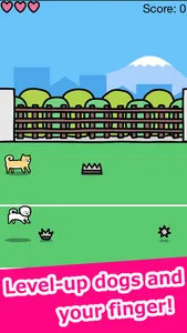 Play with Dogs - relaxing game screenshot 2