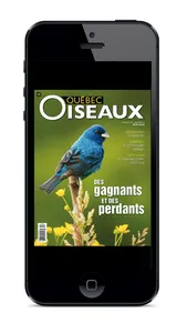 Magazine QuébecOiseaux screenshot 0