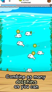 Dolphin Evolution screenshot 0