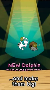 Dolphin Evolution screenshot 2