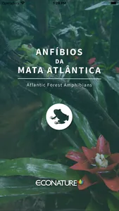 Anfíbios da Mata Atlântica screenshot 0